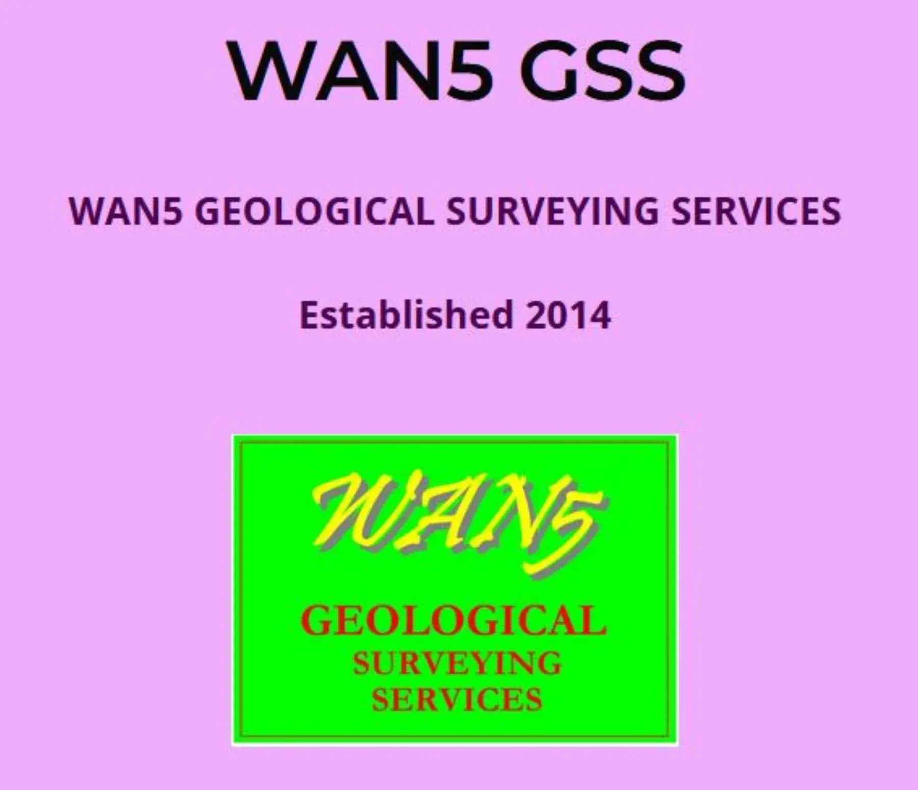 WAN5 Geological Surveying Services homepage with pink background and logo | Solo AI website creator