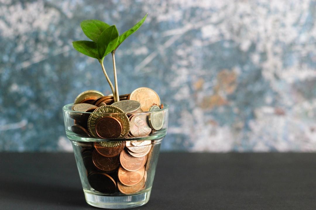 Small green plant seedling growing in glass jar filled with coins representing investment growth